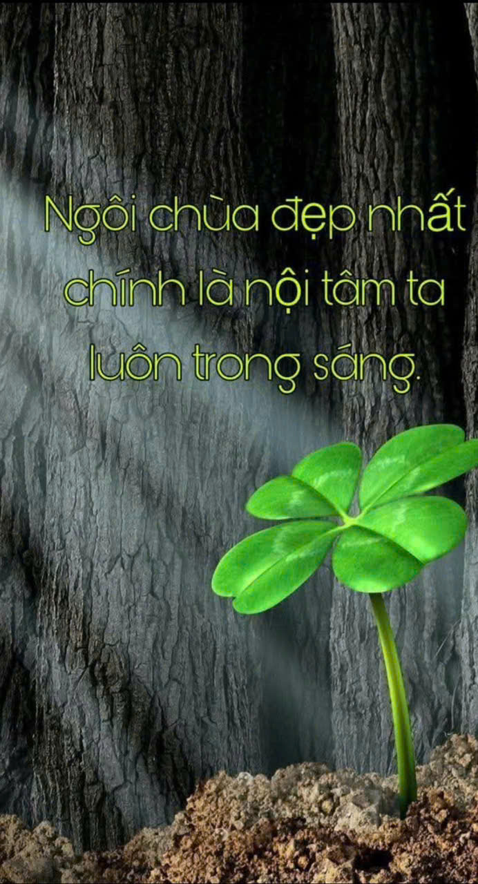 Z7125717051009 298bffd7073d007239afc64ad2e1c827